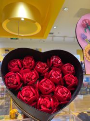 -乐高授权专卖店(华采天地店)
