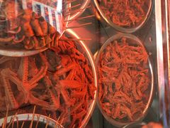 -帝煌烤卤(羊子街店)