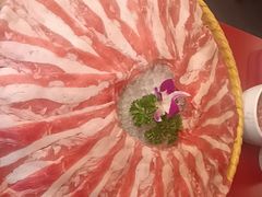 -小龙坎火锅(全球旗舰店)