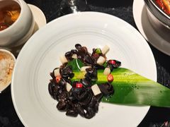 -三强鸽子(中原路店)