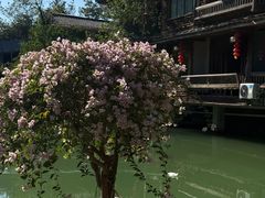 -仙店农庄