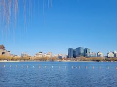 -莲花池公园