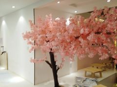 -浣熊柯尔鸭土拨鼠·电玩咖