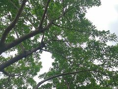-深圳湾公园(南山区)