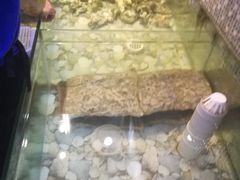 -巽寮印象美食部落餐厅·海鲜·地方特色菜(惠州体验店)