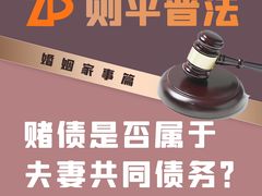-则平律师服务团队·婚姻家事·法律服务