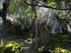 -Chom Cafe and Restaurant