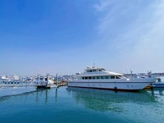 -巧克力渔家.小船海鲜胶东菜(万平口店)