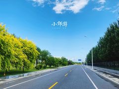 -武清南湖绿博园