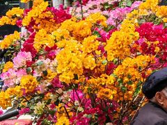 -佛山市中医院(院本部)