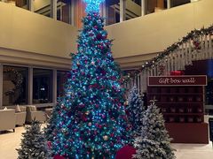 -上海明天广场JW万豪酒店