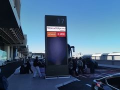 -米兰-马尔彭萨机场