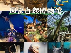 -国家自然博物馆