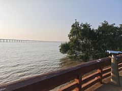 -宝安西湾红树林湿地公园