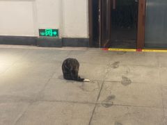-大连金石滩绿发温泉假日酒店