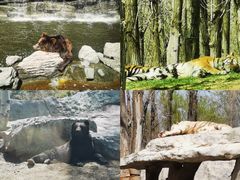 -北京野生动物园