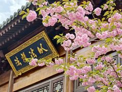 -天龙宝严素食馆(大兴善寺店)