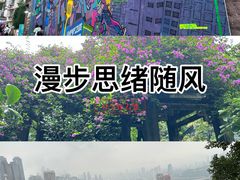 -重庆市奥林匹克体育中心-游泳跳水馆