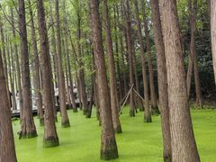 -云龙湖旅游景区