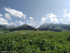 -新疆那拉提国家旅游度假区