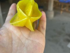-西双版纳傣族园