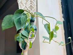 -EATALIA意塔利意式餐厅(鼓楼店)