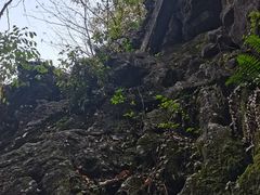 -陶祖圣境风景区