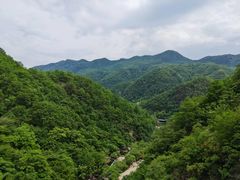 -牛背梁国家森林公园