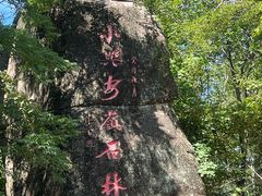 -汤旺河林海奇石景区