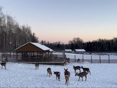 -长白山万达锦华套房酒店