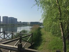 -尚贤河湿地