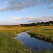 -塞罕坝国家级自然保护区