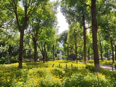 -仙岳公园