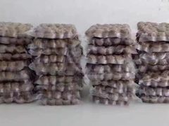 -小胖牛肉馆(安昌旗舰店)