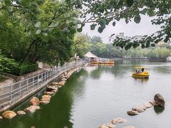 -莲湖公园