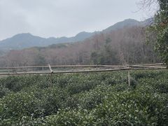 -法云安缦酒店