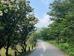 -苏州上方山国家森林公园