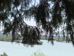 -颐和园
