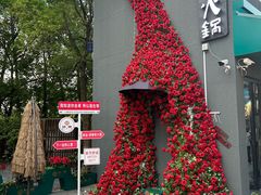 -艾溪湖湿地公园