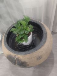 -舒欣头疗·俏丝谧语 白发脱发专业护理 