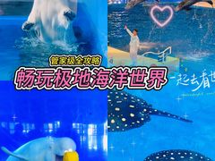 -泉城欧乐堡海洋极地世界