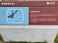 -深圳湾公园(南山区)
