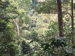 -清迈丛林飞跃 JungleFlight