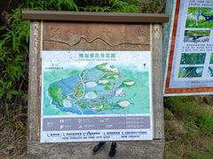 -海南霸王岭国家森林公园
