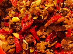 -柴窝堡22号辣子鸡·传承新疆菜