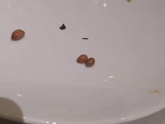 -拾贝海鲜馆（海鲜粤菜）(花果园店)