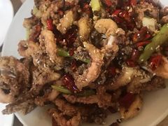 干煸鱿鱼须-鑫来子菜馆