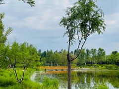-东郊湿地公园