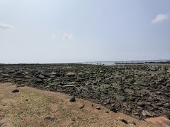 -硇洲岛旅游区
