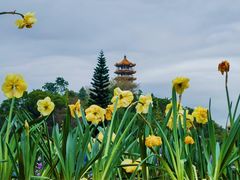 -深圳仙湖植物园